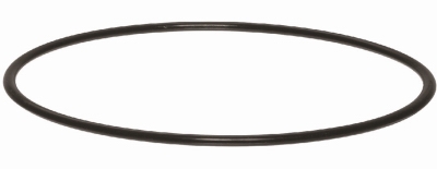 Water Filter Housing O-Ring, 3/4-In.