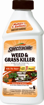 16OZ Weed/Grass Killer