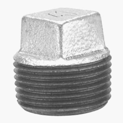 1/4-Inch Galvanized Plug