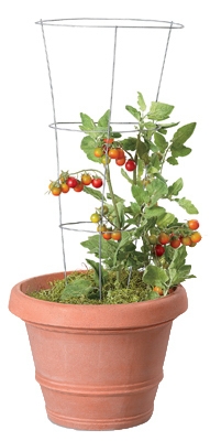 3-Ring Tomato Cage, 33-Inch