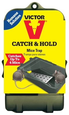 Live-Catch Mouse Trap