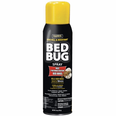 16OZ Aero Bed Bug Black