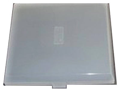 Replacement Fan Light Lens