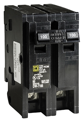 Homeline 100-Amp Double-Pole Circuit Breaker