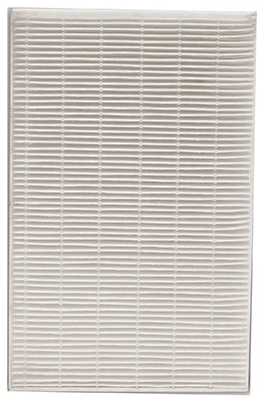Replacement Air Filter, True HEPA