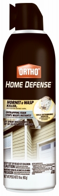 Hornet & Wasp Killer, 16-oz. Aerosol