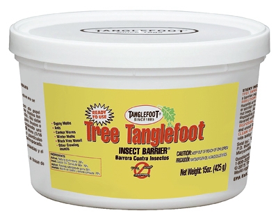 Tanglefoot Tree Insect Barrier, 15-oz.