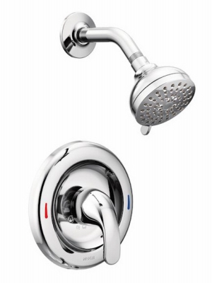 Adler Tub/Shower Faucet, Single Handle, With Showerhead, Chrome