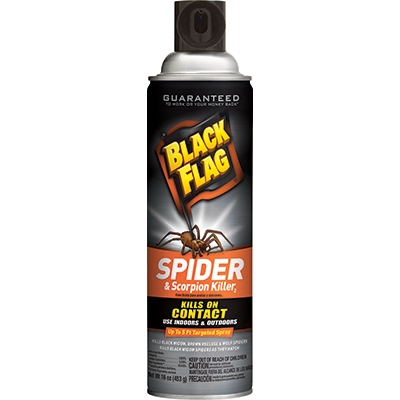 Spider & Scorpion Killer, 16-oz. Aerosol