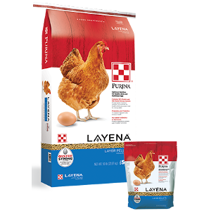 Layena