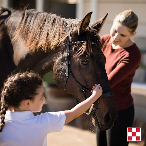 Equestrian people and horse with Purina Logo