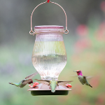 



Top Fill Hummingbird Feeder - Rose Gold



