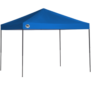 Instant Canopy 10'X10' 