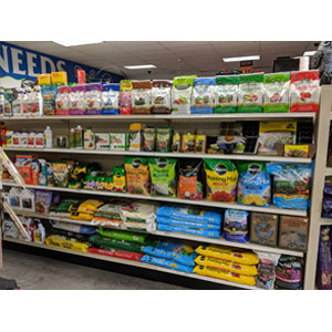 store