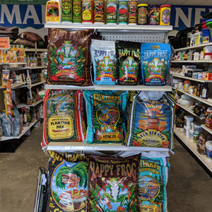 store