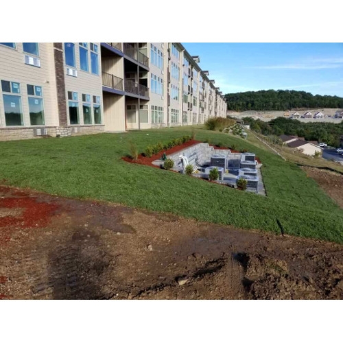 Grass after