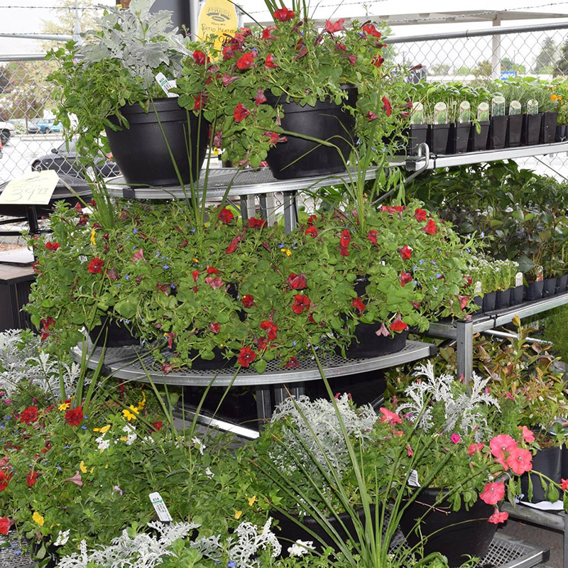 lawn & garden