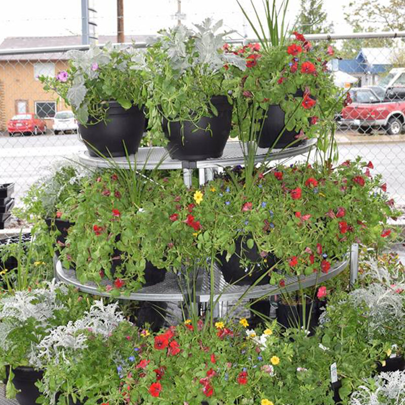 lawn & garden