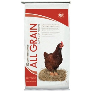 All Grain Layer Pellets 50lbs Chicken Feed 