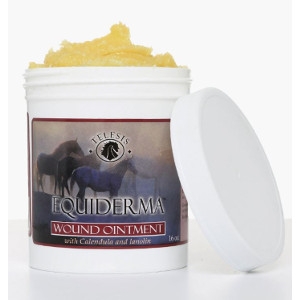 Telesis Equiderma Wound Ointment 16oz