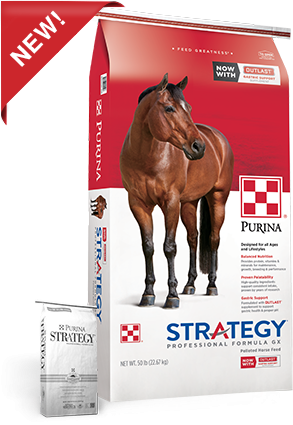 StrategyProfessional Formula GX Horse Feed