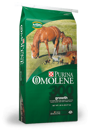 Omolene #300Growth Horse Feed