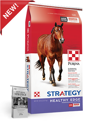 Strategy Healthy Edge Horse Feed