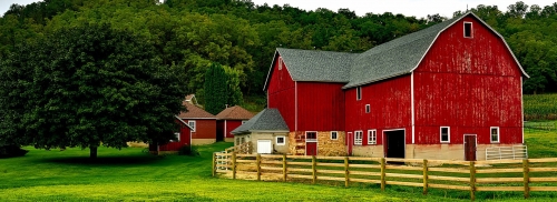 Farm & Ranch