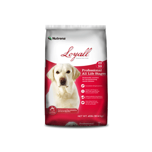 Loyall all life stages dog food best sale