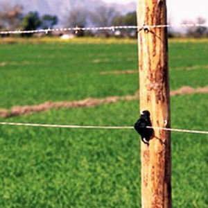 High Tensile Electric Fence Wire