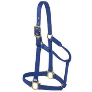 LARGE HORSE HALTER