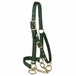 CALF HALTER W/ CONTROL CHAIN