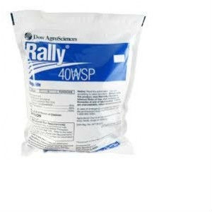 RALLY 40WSP 5X4OZ