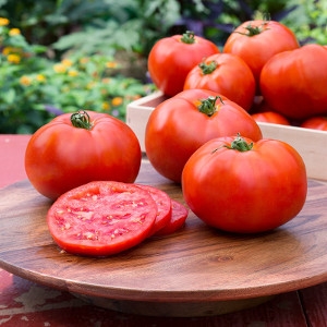 Bonnie Plants Better Boy Tomatoes 4.5