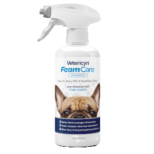 FoamCare® Low Density Dog Shampoo