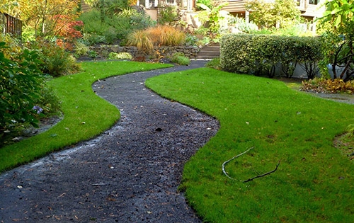 Outdoor, Lawn & Garden