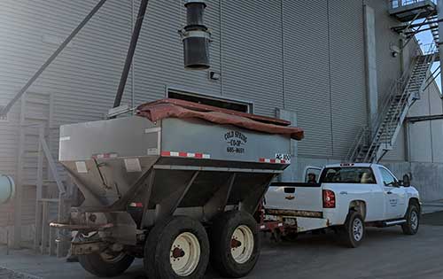 fertilizer