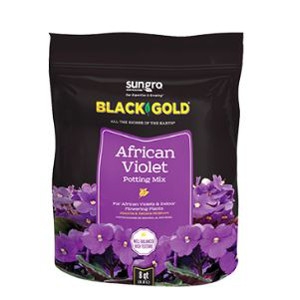 Black Gold African Violet Potting Mix 