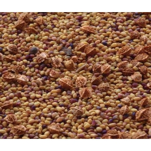 Deer Creek Seed Co. Perennial Plus Clover Food Plot Mix 