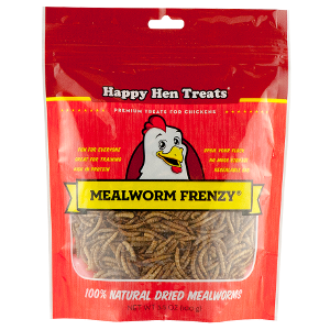 Mealworm Frenzy 