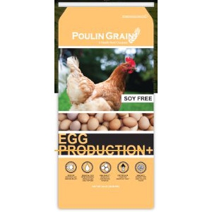 Poulin Grain Egg Production Plus (Soy Free) 