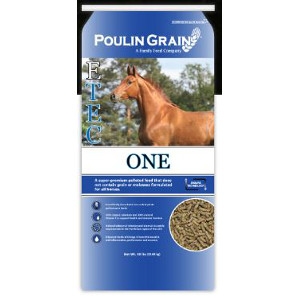 Poulin Grain E-TEC One 