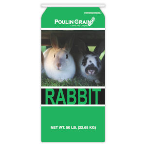 Rabbit 18% Growth Pellet
