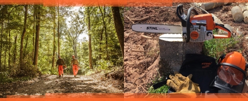 Check out our Stihl products!