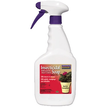 Insecticidal Soap, RTU