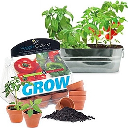 Windowsill Salad Garden Grow Kit