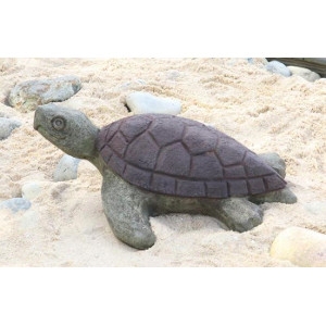 Manni the Sea Turtle