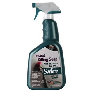 Safer Insect Killing Soap RTU