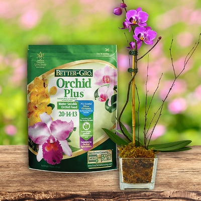 Better-Gro Orchid Plus Plant Food