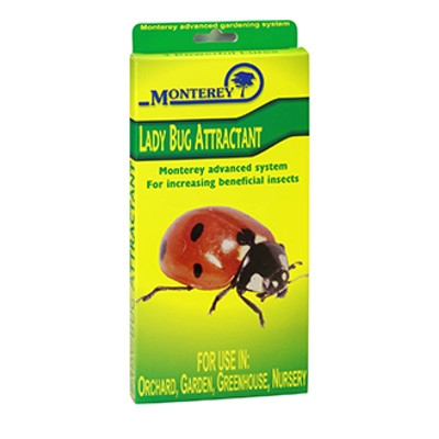 Lady Bug Attractant